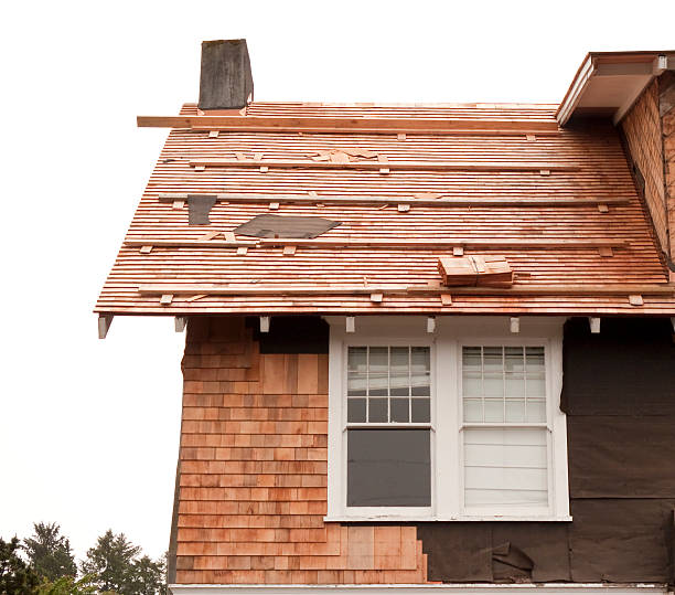 Best Historical Building Siding Restoration  in Mount Vernon, MD